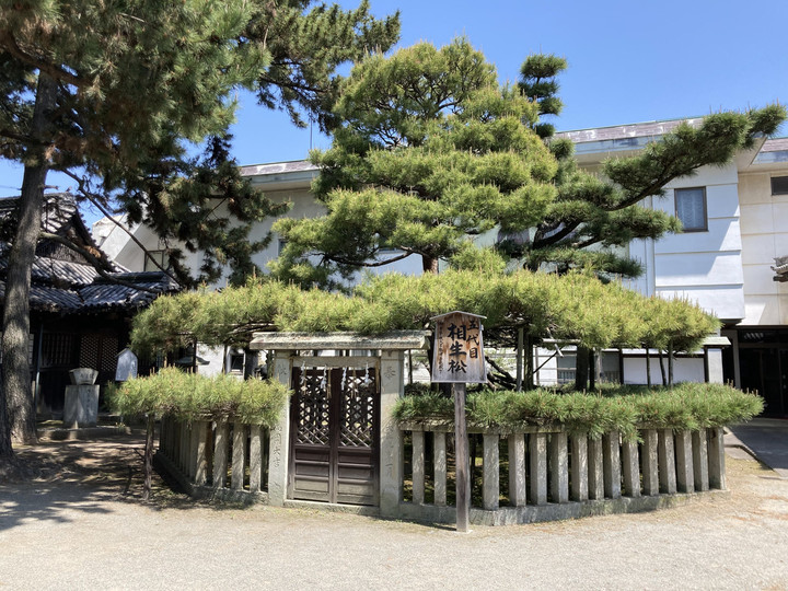 071a4b6bf3c3496e83c9bf9eb0635495