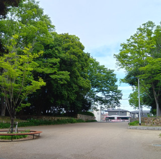 Photo_13