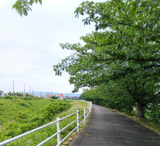 Photo_14