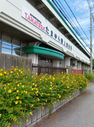Photo_4