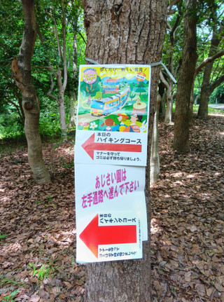 Photo_8